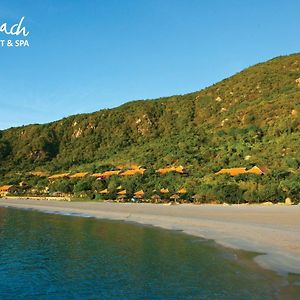 Wild Beach Boutique Resort